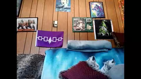 prettysolid7 online show from March 1, 2026, 4:31 pm