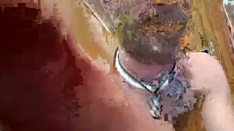 prettysolidd7 online show from December 2, 2024, 2:42 am