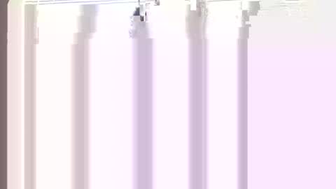 Princess Asshole online show from April 21, 2026, 12:22 pm