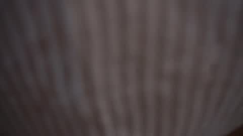 Assi  Incognito girl online show from February 9, 2025, 11:14 am