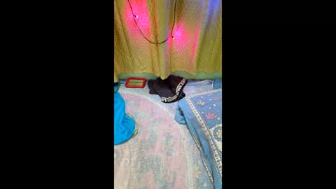 priyachocolaty online show from February 9, 2026, 8:35 pm