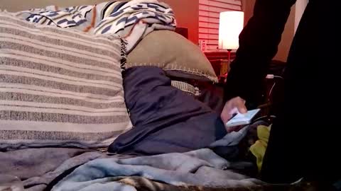 Sk8wave online show from February 10, 2026, 7:56 am