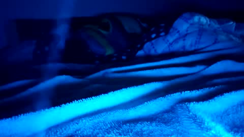 ptut82 online show from February 15, 2026, 9:41 am