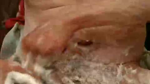 pulepower online show from November 23, 2025, 9:09 am