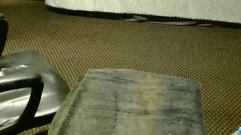 Jojo online show from November 25, 2025, 8:42 pm