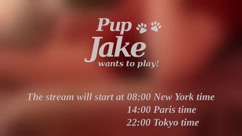Pup Jake wants to play online show from December 25, 2024, 12:05 pm