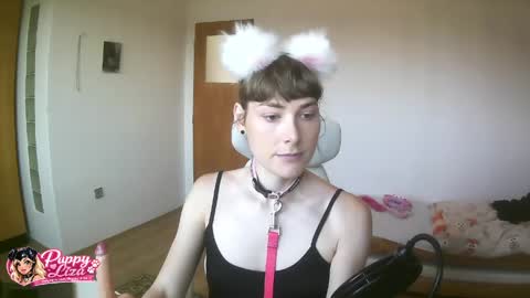 puppy_liza online show from June 2, 2026, 7:21 am