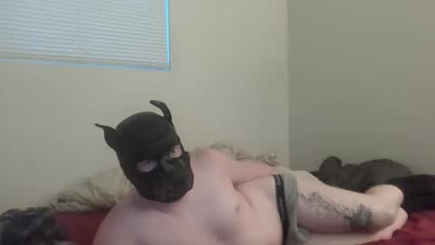 puptav online show from March 5, 2026, 1:01 am