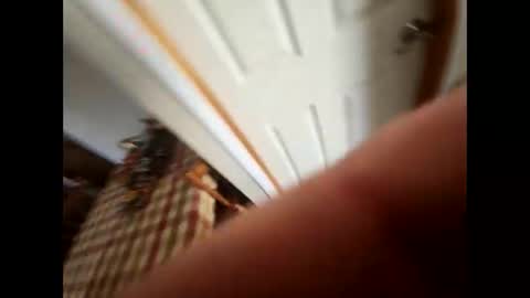 purdyguy7777 online show from February 5, 2025, 5:53 pm