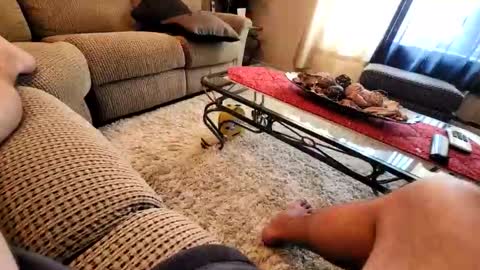 purdyguy7777 online show from March 19, 2026, 7:40 pm