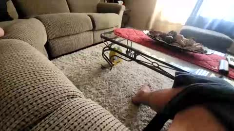 purdyguy7777 online show from March 20, 2026, 7:52 pm