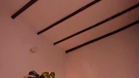 Vero online from Tuesday to Sunday online show from February 9, 2025, 10:11 pm