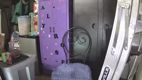 Mark online show from December 7, 2024, 10:23 am