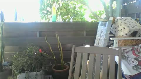 Python online show from February 2, 2025, 4:05 am