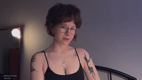    online show from November 11, 2025, 3:23 pm