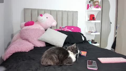 Snapshot of queen_antonella_oficial chatting on June 8, 2026, 8:04 am QUEEN ANTONELLA online show from June 8, 2026, 8:04 am