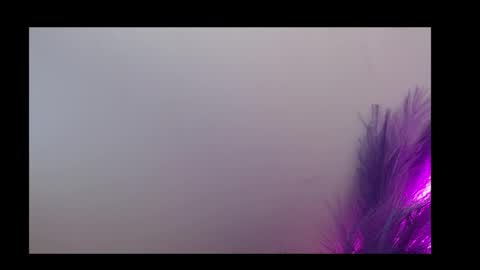 Queen Rosee  online show from February 5, 2026, 12:59 am