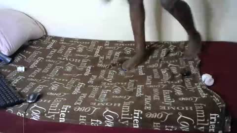 melly online show from January 4, 2025, 9:10 am