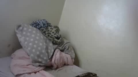 melly online show from January 31, 2025, 11:13 am