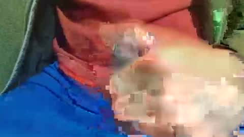 Raccoon68 online show from May 1, 2026, 7:51 pm