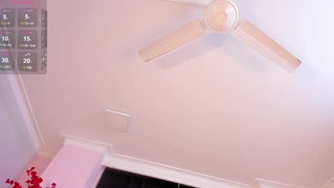 Rachel online show from January 24, 2025, 11:37 am