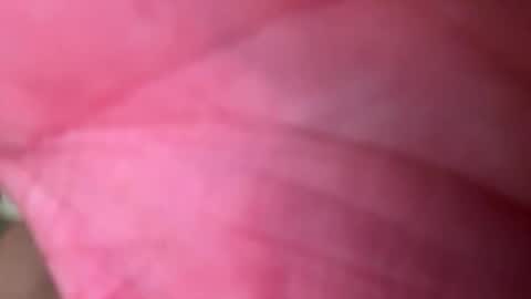 ragerd420 online show from February 24, 2026, 11:14 pm