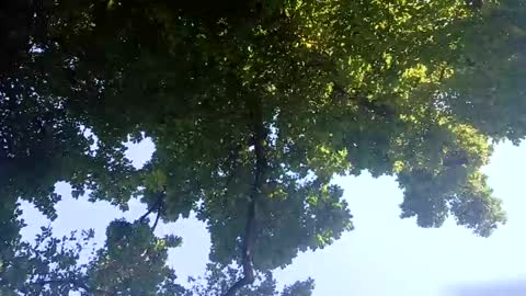 Bigthickdickinvic online show from February 2, 2025, 6:26 am