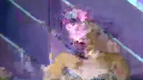 rainbow baby26 online show from March 7, 2026, 10:29 pm