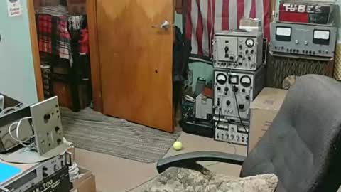 Randall online show from January 18, 2026, 3:21 am