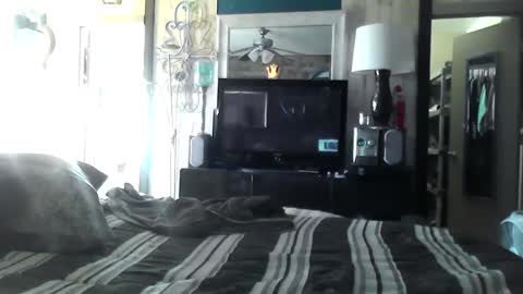 Randy8inbater online show from December 10, 2024, 6:17 pm