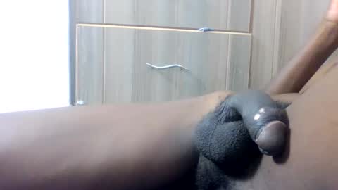 rarespecies21 online show from April 3, 2026, 10:13 am