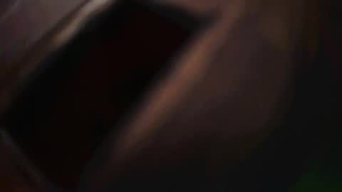 rarvet online show from December 1, 2025, 12:48 am