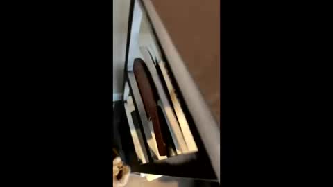 ravenxbeastie online show from February 17, 2025, 8:58 pm