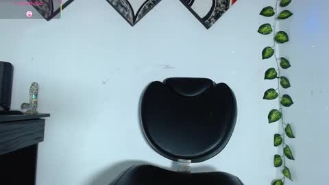 Ray  online show from February 12, 2025, 4:54 am