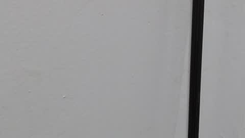 Ray  online show from March 22, 2026, 10:40 am