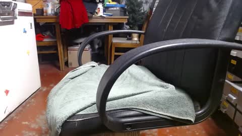 Ray online show from December 22, 2024, 3:22 pm