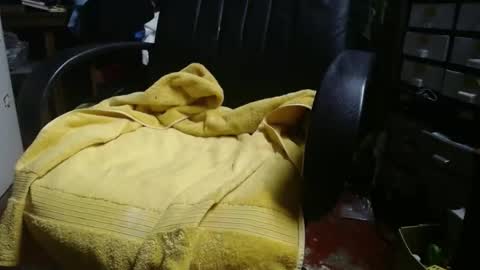 Ray online show from November 24, 2025, 12:27 pm