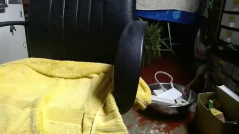 Ray online show from November 27, 2025, 1:07 am