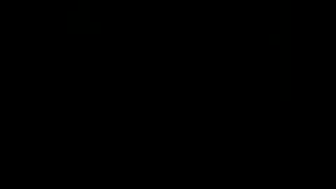 rdt2030 online show from December 29, 2024, 9:30 pm