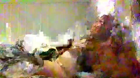 Snapshot of real_viking1 chatting on February 7, 2026, 5:49 pm real_viking1 online show from February 7, 2026, 5:49 pm