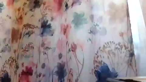 recka810 online show from February 20, 2025, 9:42 pm