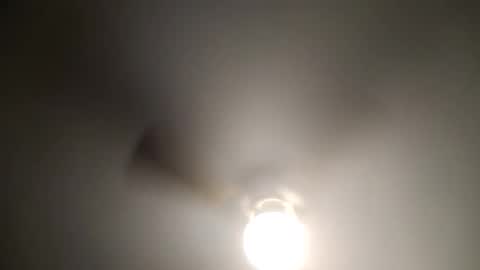 red24devils online show from January 4, 2025, 6:09 am