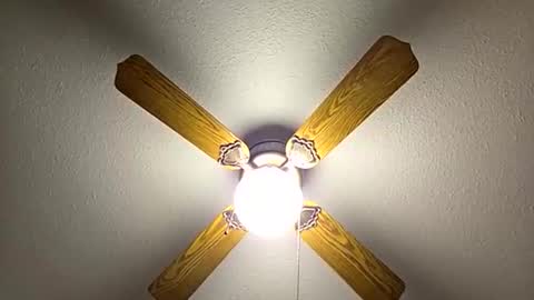 red24devils online show from November 21, 2025, 1:04 am