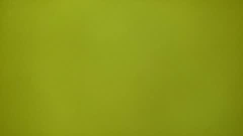 Redplume online show from February 12, 2026, 11:16 am