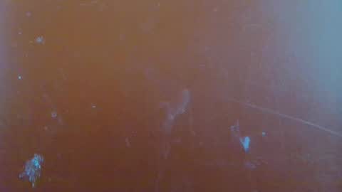 paola online show from January 29, 2025, 6:22 am