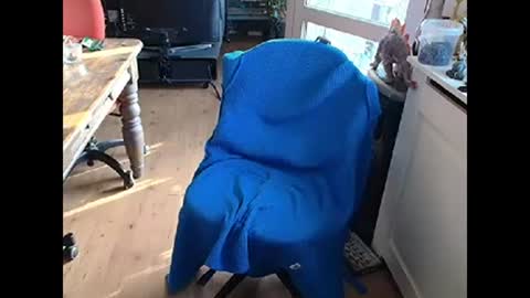 relaxyio online show from March 10, 2025, 7:42 am