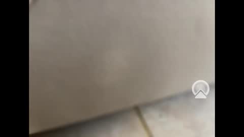 rgoggler2 online show from January 28, 2025, 1:59 pm