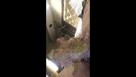 rich7665 online show from April 26, 2026, 4:59 pm