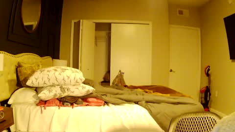 richierich813 online show from October 3, 2025, 7:16 am