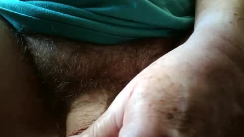 Always crusing cams online show from September 20, 2025, 5:14 pm